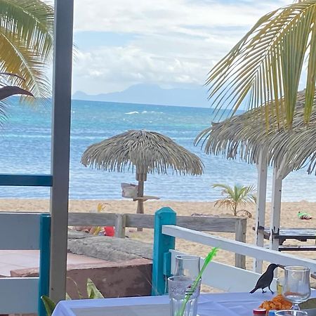 Le 35 Anse Des Rochers Saint-Francois 外观 照片