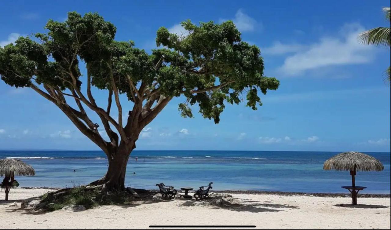 Le 35 Anse Des Rochers Saint-Francois 外观 照片