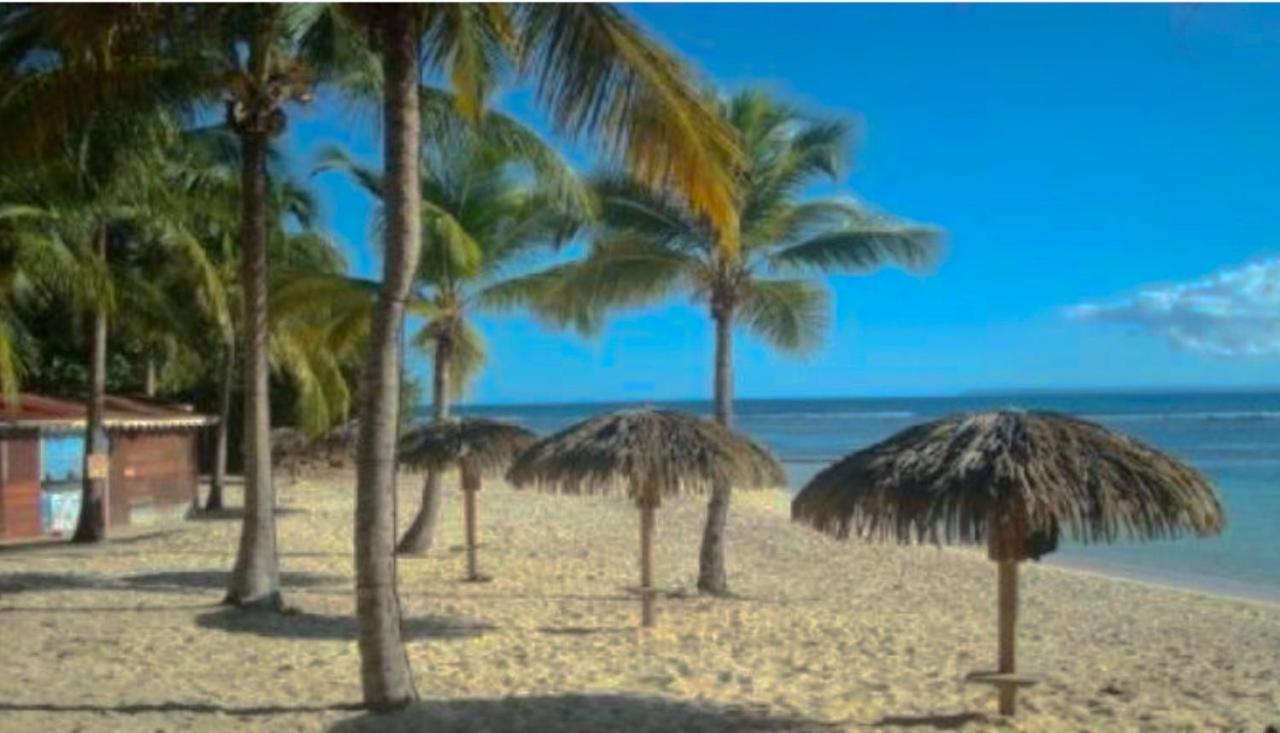 Le 35 Anse Des Rochers Saint-Francois 外观 照片