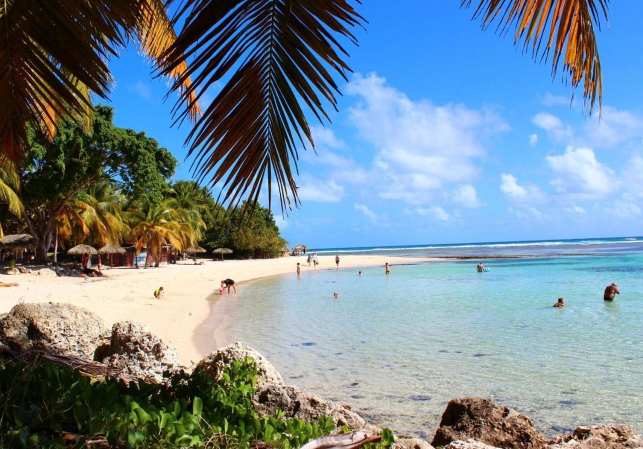 Le 35 Anse Des Rochers Saint-Francois 外观 照片