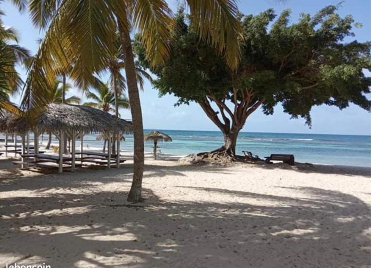 Le 35 Anse Des Rochers Saint-Francois 外观 照片