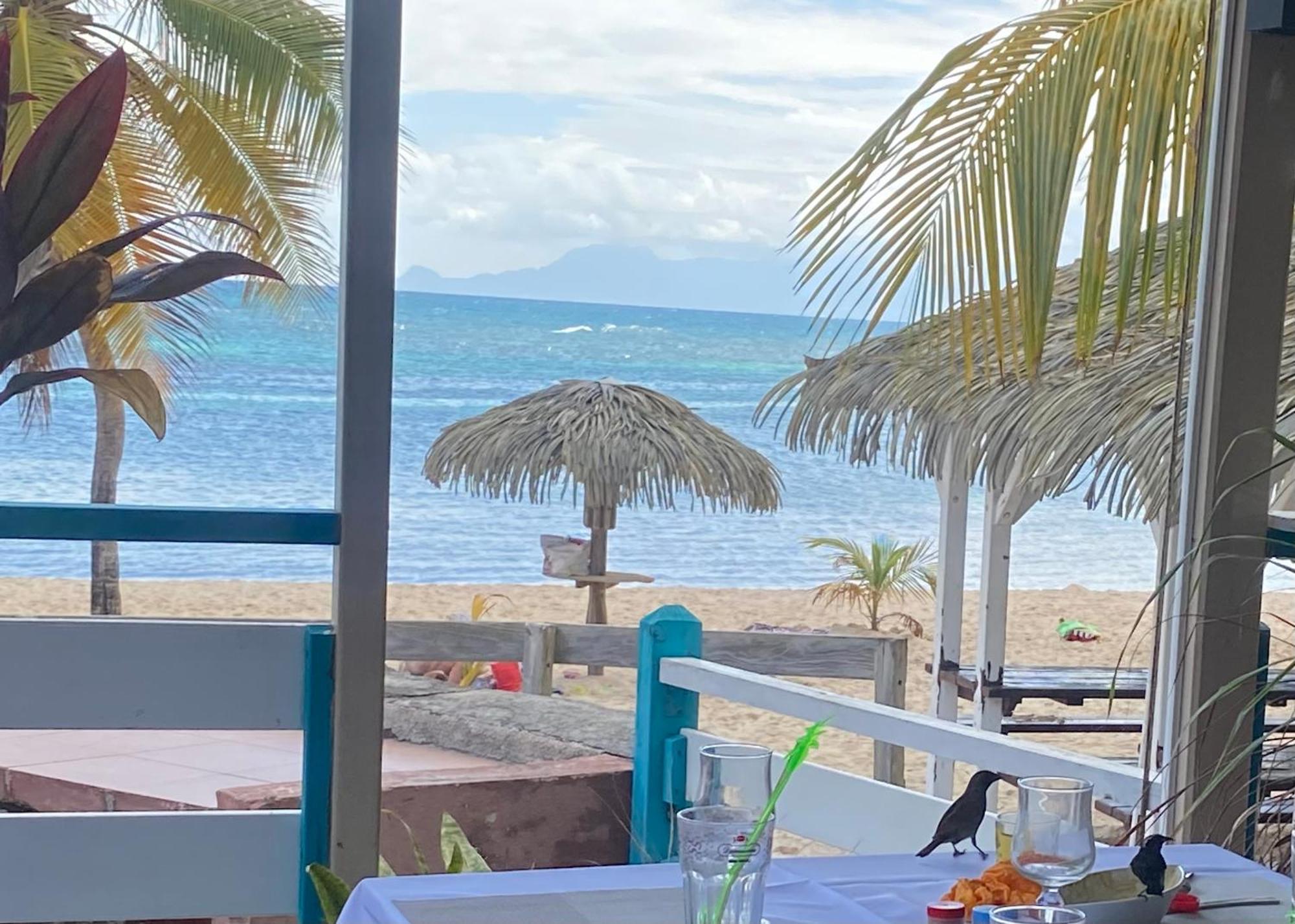 Le 35 Anse Des Rochers Saint-Francois 外观 照片
